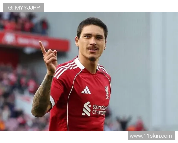 努涅斯在赛场上的崛起与挑战：从新星到顶级前锋的成长之路